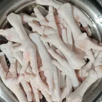 پامرغ پاک شده تازه و تمیز