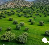 زمین فاز یک