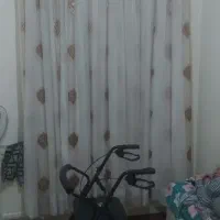 جویا کار هستم