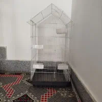 قفس پرنده