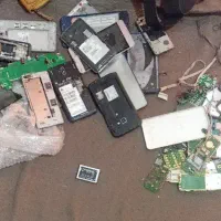 انواع بردگوشی