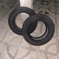 لاستیک سمند