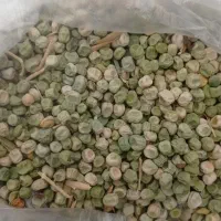نخود خشک درجه یک