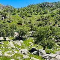 عکاسی دهدشت