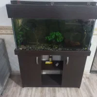 اکواریوم