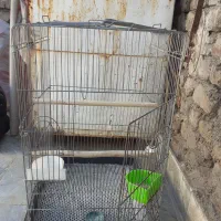قفس کاسکوی