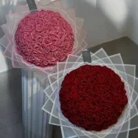 گل روبانی و مخملی