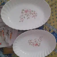 دو تیکه ظرف سالاد خوری و مرغ خوری سالم ونو با جعبه