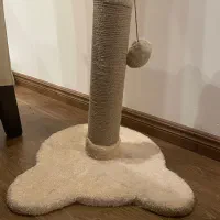 اسکرچر