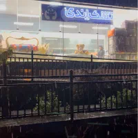 روتختی هتلی ونخ پنبه-تشک مموری فوم