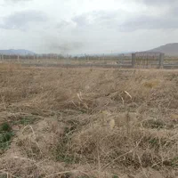 فروش زمین واسه باغ و ویلا 1000 متری