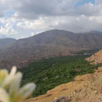 باغ آلو فوشنجان