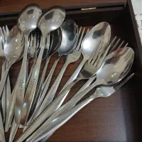 قاشق و چنگال استیل