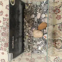 آکواریوم
