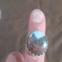 انگشتر شجر گل اناری (پاییزی)