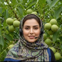 فروش نهال گردو بادام سیب انگور صنوبر زیتون فندق به