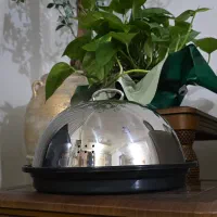 بخار پز سلاردوم