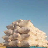کاه