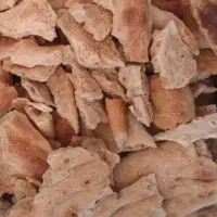 نون خشک