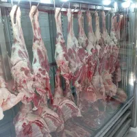قصاب پاچال دار وارد