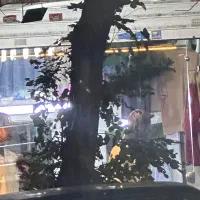 مغازه نبرد شمالی