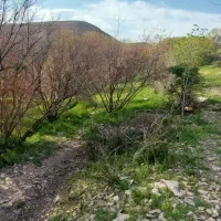 باغ ۱۲۵۰ متری چهار دیواری با بنا زیاران طالقان