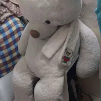 خرس بزرگ