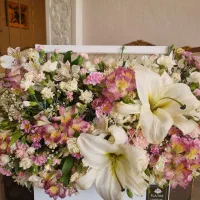 گل تازه دیشب برام آوردن