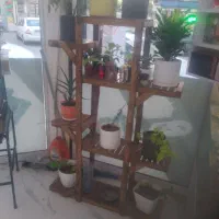 پایه گل