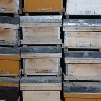 فروش ۳۰ تا جعبه زنبور
