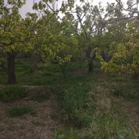 باغچه پردرخت سندتکبرگ انشعابات کامل شهریار