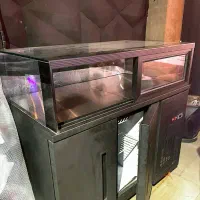 شو کیک موتور فرانسوی