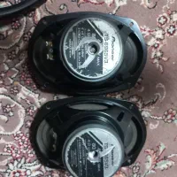 باندخربزای پایونیر