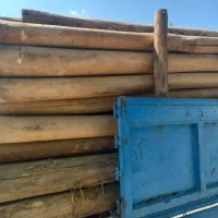 خریدچوب‌خشک‌ودرخت‌‌بابالاترین‌قیمت‌