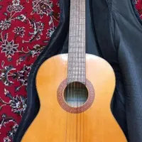 گیتار حرفه ای