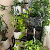 استند شلف پایه گلدان جاگلدانی رنگ کوره ای طبقاتی