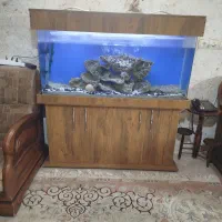 آکواریوم شیشه خم اصل