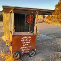 ارابه سیب زمینی