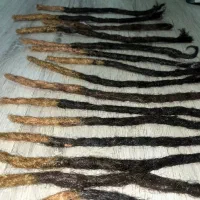 Dreadlock درِدلاک|خدمات آرایشگری و زیبایی|رشت, کاکتوس|دیوار