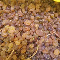 کشمش تمیز