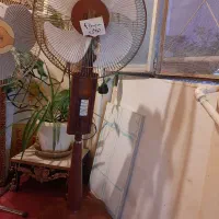 پنکه سالم
