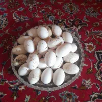 تخم‌‌غاز‌‌نطفه‌‌دار‌‌‌‌