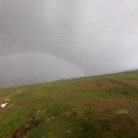 نیروی کار خوب دارم