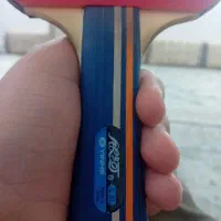 پینگ پنگ