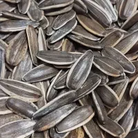تخمه آفتاب گردان لوکس درجه 1