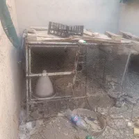 فروش بعلت جابجایی مکانی و نبود جا