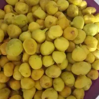 انجیر تازه