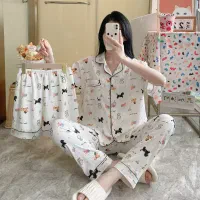 پخش پوشاک افشاری گناوه