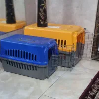 باکس و لوازم برای سگ خانگی