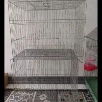 قفس قناری